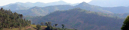 Hills of Rwanda