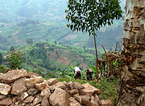 On the Road to Gisenyi